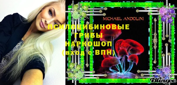 дурь Няндома